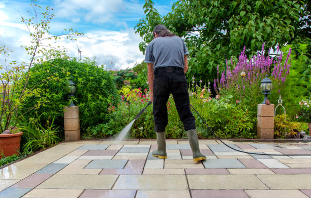 Reliable Massanutten, VA Pressure Washing Solutions